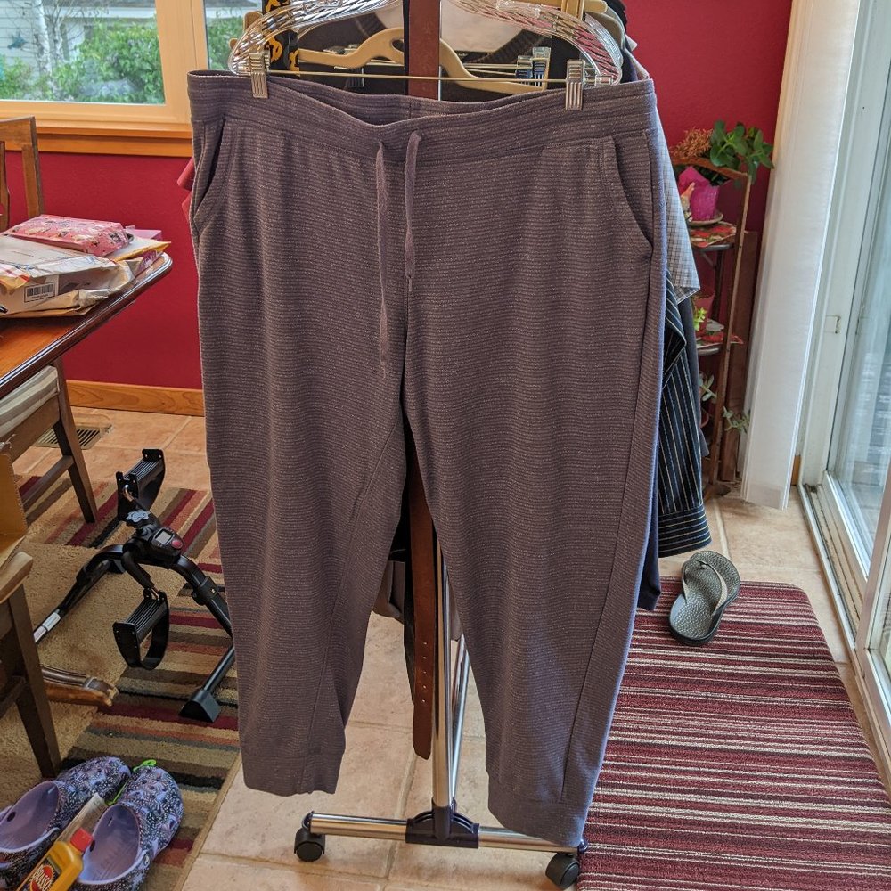Periwinkle-colored Champion brand Joggers